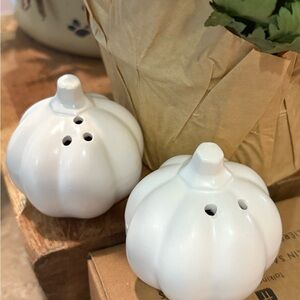 Talking Tables White Ceramic Pumpkin Salt and Pepper Shakers NIB